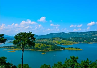 Discover the Natural Wonders of Meghalaya: Top Places to Visit